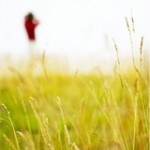 Grass
