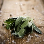 iStock_000010036051Medium