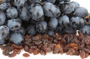 from juicy grape to wrinkly raisin